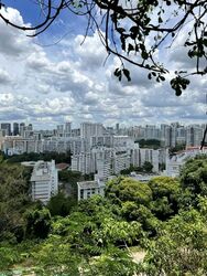 The Pearl @ Mount Faber (D4), Condominium #570702931